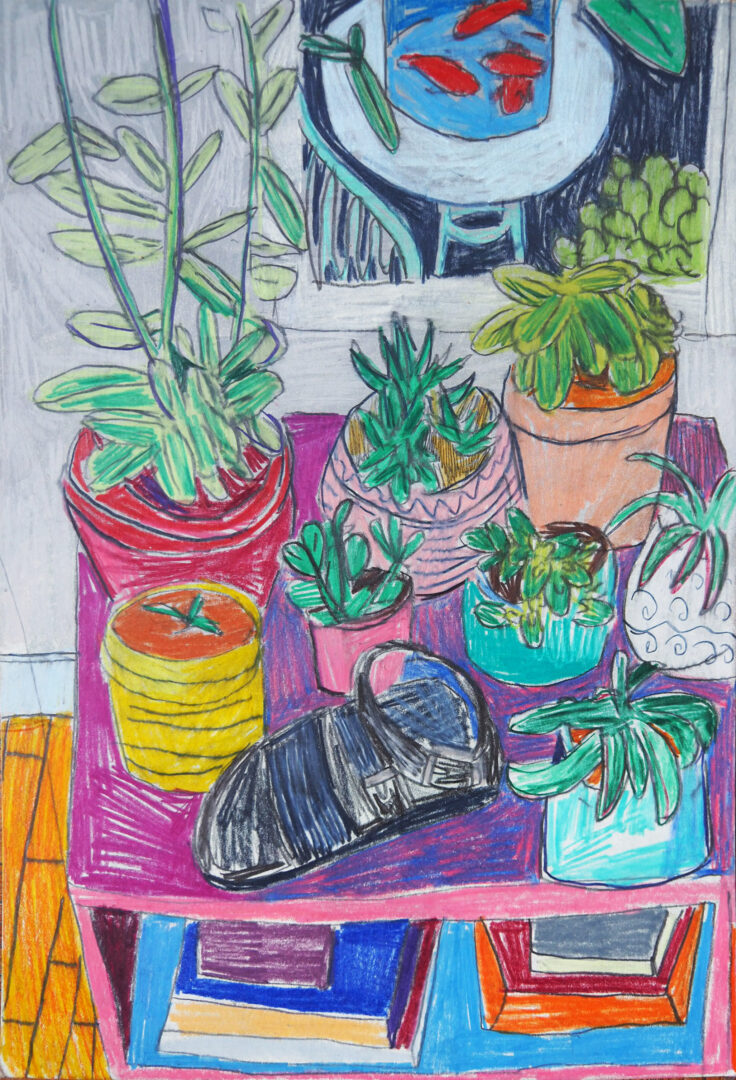 Plantes et chaussure, 21x29.7 colored pencil on paper
